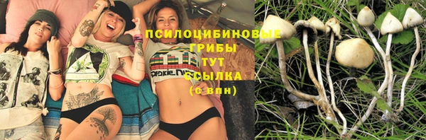 прущая мука Алексеевка