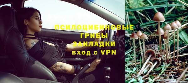 твердый Алексин