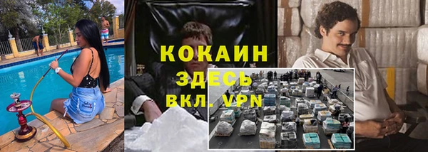 твердый Алзамай