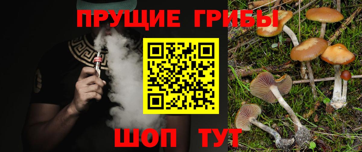 Галлюциногенные грибы мухоморы  Псилоцибиновые грибы ЛСД  Нововоронеж  Вход с VPN 