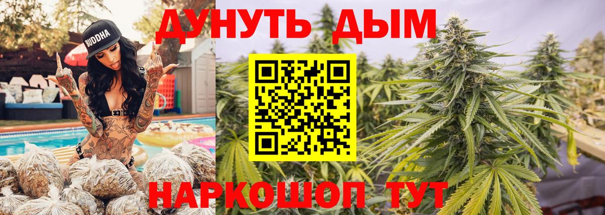 Шишки марихуана OG Kush Нововоронеж